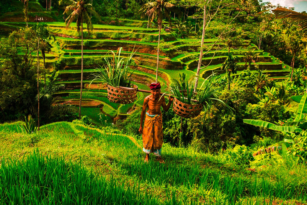 Ubud Bali